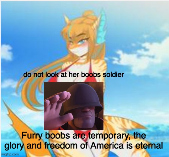 do not look at her boobs soldier Furry boobs are temporary, the glory and freedom of America is eternal | made w/ Imgflip meme maker