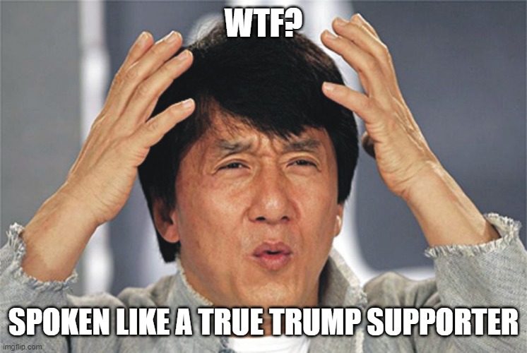 Jackie Chan Confused | WTF? SPOKEN LIKE A TRUE TRUMP SUPPORTER | image tagged in jackie chan confused | made w/ Imgflip meme maker