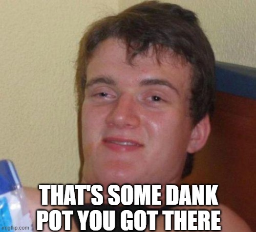 stoned guy | THAT'S SOME DANK POT YOU GOT THERE | image tagged in stoned guy | made w/ Imgflip meme maker