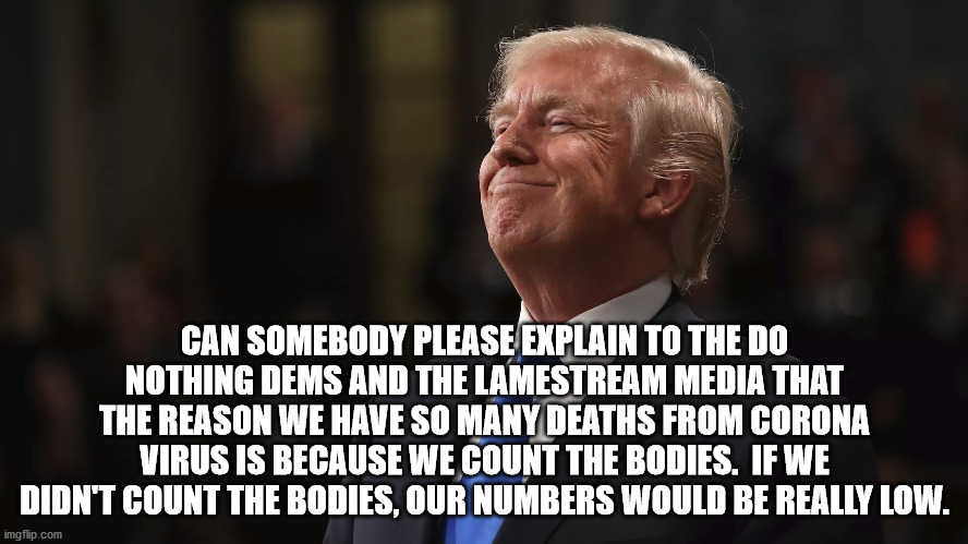 CAN SOMEBODY PLEASE EXPLAIN TO THE DO NOTHING DEMS AND THE LAMESTREAM MEDIA THAT THE REASON WE HAVE SO MANY DEATHS FROM CORONA VIRUS IS BECAUSE WE COUNT THE BODIES.  IF WE DIDN'T COUNT THE BODIES, OUR NUMBERS WOULD BE REALLY LOW. | image tagged in donald trump,donald trump is an idiot,covid-19 | made w/ Imgflip meme maker