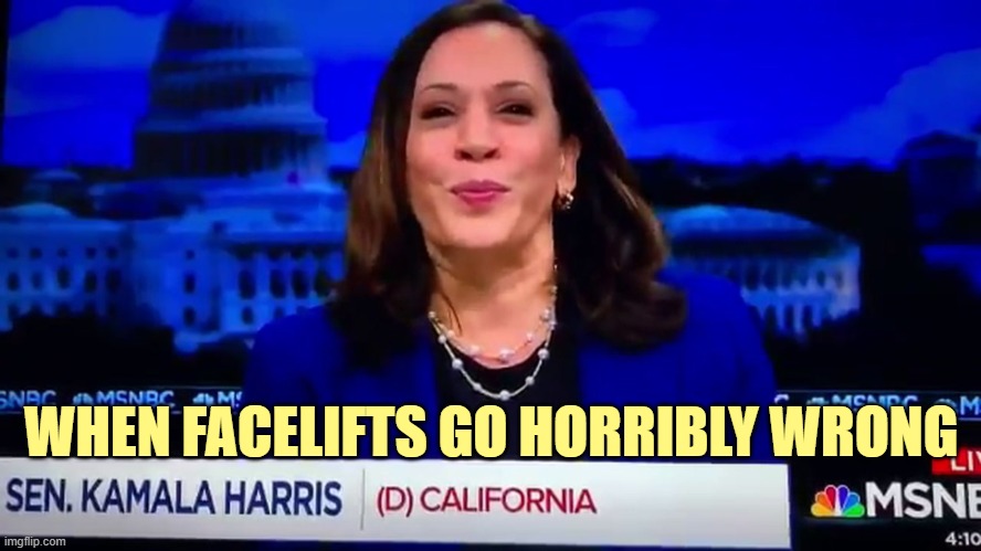 But it will make people forget her ancestors were Jamaican slave owners. | WHEN FACELIFTS GO HORRIBLY WRONG | image tagged in kamala harris,vice president,election 2020 | made w/ Imgflip meme maker