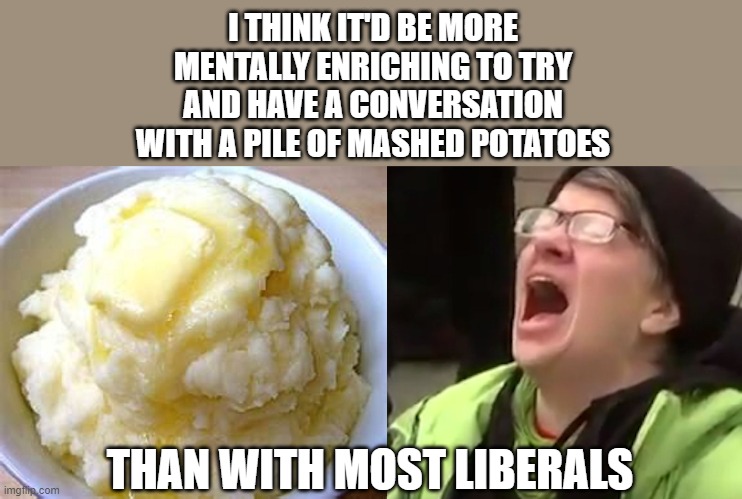 It does feel that way though | I THINK IT'D BE MORE MENTALLY ENRICHING TO TRY AND HAVE A CONVERSATION WITH A PILE OF MASHED POTATOES; THAN WITH MOST LIBERALS | image tagged in screaming liberal,memes,politics | made w/ Imgflip meme maker