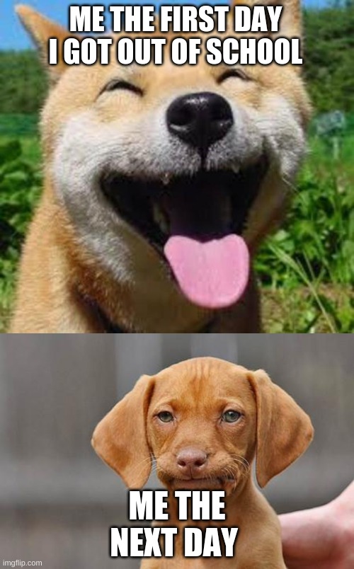 ME THE FIRST DAY I GOT OUT OF SCHOOL; ME THE NEXT DAY | image tagged in dissapointed puppy,happy doge | made w/ Imgflip meme maker