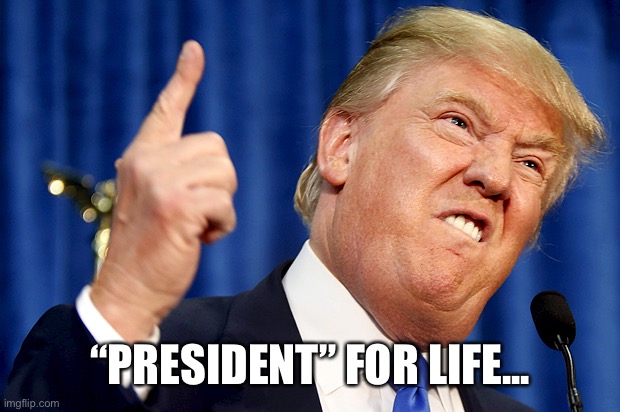 Donald Trump | “PRESIDENT” FOR LIFE... | image tagged in donald trump | made w/ Imgflip meme maker