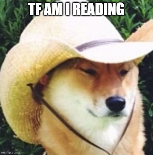 Wot in tarnation | TF AM I READING | image tagged in wot in tarnation | made w/ Imgflip meme maker
