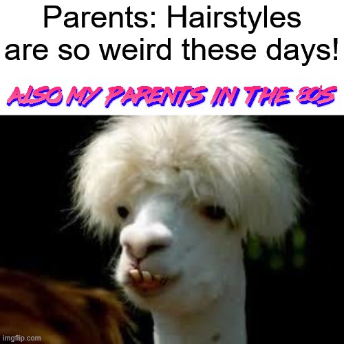 This meme is not relevant to me at all, I just remade someone else's meme | Parents: Hairstyles
are so weird these days! | image tagged in bad hair day llama,80s,parents | made w/ Imgflip meme maker