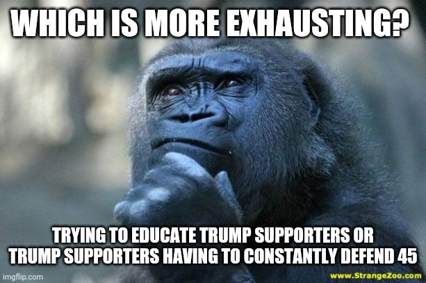Deep Thoughts | WHICH IS MORE EXHAUSTING? TRYING TO EDUCATE TRUMP SUPPORTERS OR TRUMP SUPPORTERS HAVING TO CONSTANTLY DEFEND 45 | image tagged in deep thoughts | made w/ Imgflip meme maker