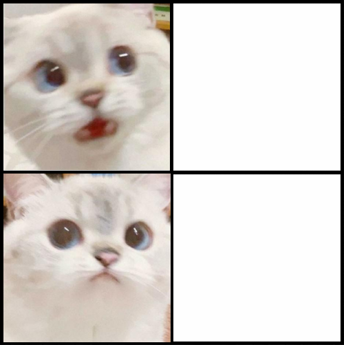 High Quality cute white cat template Blank Meme Template