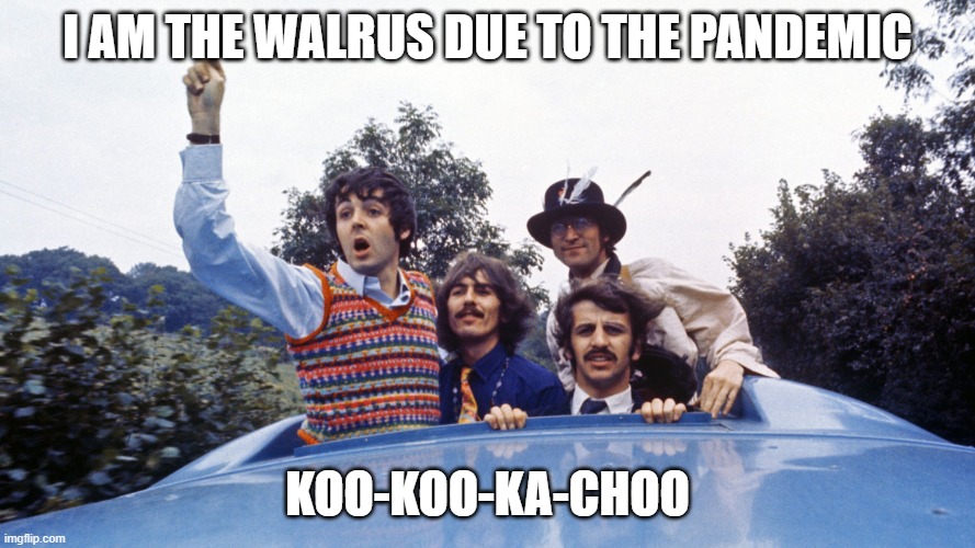 I AM THE WALRUS DUE TO THE PANDEMIC KOO-KOO-KA-CHOO | made w/ Imgflip meme maker