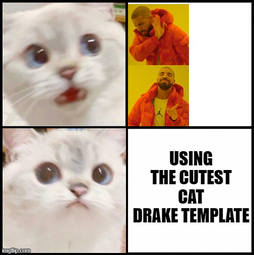 aww | USING THE CUTEST CAT DRAKE TEMPLATE | image tagged in cute white cat template | made w/ Imgflip meme maker