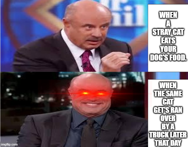 Angry and happy Dr. Phil | WHEN A STRAY CAT EATS YOUR DOG'S FOOD. WHEN THE SAME CAT GET'S RAN OVER BY A TRUCK LATER THAT DAY | image tagged in dr phil | made w/ Imgflip meme maker