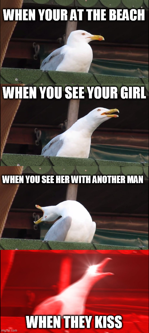 Inhaling Seagull Meme | WHEN YOUR AT THE BEACH; WHEN YOU SEE YOUR GIRL; WHEN YOU SEE HER WITH ANOTHER MAN; WHEN THEY KISS | image tagged in memes,inhaling seagull | made w/ Imgflip meme maker