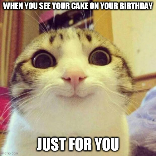 Smiling Cat Meme | WHEN YOU SEE YOUR CAKE ON YOUR BIRTHDAY; JUST FOR YOU | image tagged in memes,smiling cat | made w/ Imgflip meme maker
