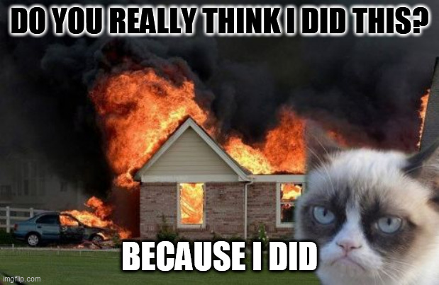 Burn Kitty Meme | DO YOU REALLY THINK I DID THIS? BECAUSE I DID | image tagged in memes,burn kitty,grumpy cat | made w/ Imgflip meme maker