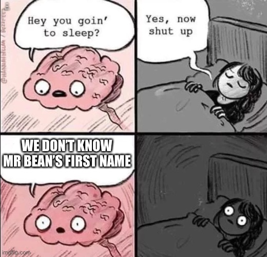 We really don’t | WE DON’T KNOW MR BEAN’S FIRST NAME; WE DON’T KNOW MR BEAN’S FIRST NAME; WE DON’T KNOW MR BEAN’S FIRST NAME | image tagged in waking up brain | made w/ Imgflip meme maker