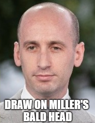High Quality Draw on Miller's Head Blank Meme Template
