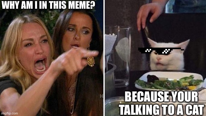 Angry lady cat | WHY AM I IN THIS MEME? BECAUSE YOUR TALKING TO A CAT | image tagged in angry lady cat | made w/ Imgflip meme maker