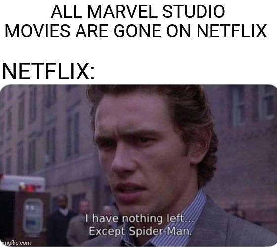I have nothing left except spider-man | ALL MARVEL STUDIO MOVIES ARE GONE ON NETFLIX; NETFLIX: | image tagged in memes,funny,marvel,spiderman,movies,netflix | made w/ Imgflip meme maker