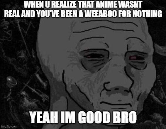 plot twist | WHEN U REALIZE THAT ANIME WASNT REAL AND YOU'VE BEEN A WEEABOO FOR NOTHING; YEAH IM GOOD BRO | image tagged in anime | made w/ Imgflip meme maker