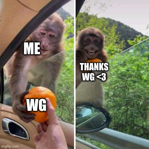 monkey getting an orange | ME; THANKS WG <3; WG | image tagged in monkey getting an orange | made w/ Imgflip meme maker