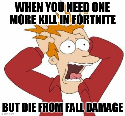 fortnite | WHEN YOU NEED ONE MORE KILL IN FORTNITE; BUT DIE FROM FALL DAMAGE | image tagged in fry freaking out | made w/ Imgflip meme maker