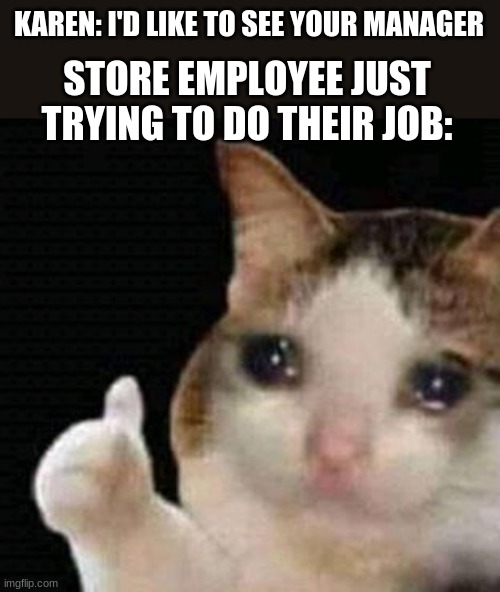 karen bad | KAREN: I'D LIKE TO SEE YOUR MANAGER; STORE EMPLOYEE JUST TRYING TO DO THEIR JOB: | image tagged in sad thumbs up cat | made w/ Imgflip meme maker