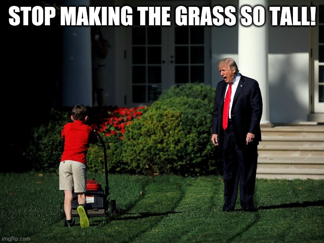 Trump Kid Lawnmower | STOP MAKING THE GRASS SO TALL! | image tagged in trump kid lawnmower | made w/ Imgflip meme maker