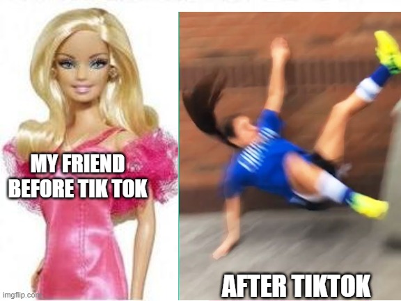 i only have one friend who hates tik tok as much as i do | MY FRIEND BEFORE TIK TOK; AFTER TIKTOK | image tagged in friendship,tiktok,fail,barbie | made w/ Imgflip meme maker