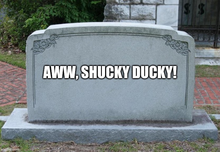 Gravestone | AWW, SHUCKY DUCKY! | image tagged in gravestone | made w/ Imgflip meme maker