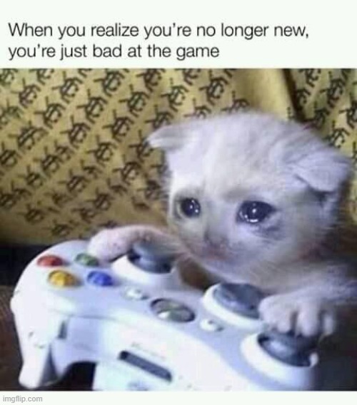 dawww i am almost in tears lmfao (repost) | image tagged in cats,cat,video games,videogames,kittens,kitten | made w/ Imgflip meme maker