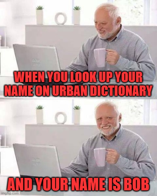 Be careful what you look for on the internet, you might find it... | WHEN YOU LOOK UP YOUR NAME ON URBAN DICTIONARY; AND YOUR NAME IS BOB | image tagged in memes,hide the pain harold | made w/ Imgflip meme maker