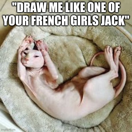 "Paint me like one of your French girls Jack" | "DRAW ME LIKE ONE OF YOUR FRENCH GIRLS JACK" | image tagged in cats | made w/ Imgflip meme maker