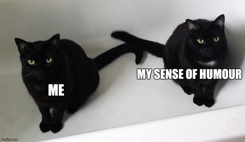 Both are dark and unlucky | MY SENSE OF HUMOUR; ME | image tagged in cats are awesome | made w/ Imgflip meme maker