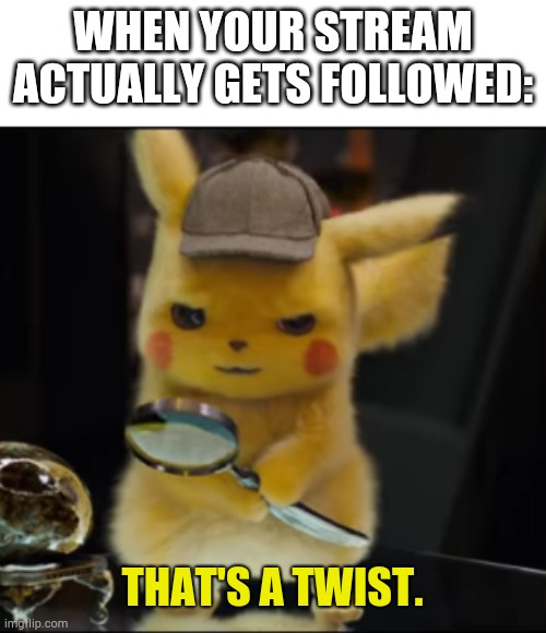 That's a Twist | WHEN YOUR STREAM ACTUALLY GETS FOLLOWED: | image tagged in that's a twist | made w/ Imgflip meme maker