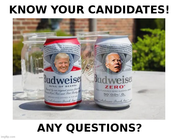 Know Your Candidates! | image tagged in donald trump,budweiser,hold my beer,joe biden,zero,beer | made w/ Imgflip meme maker