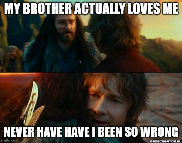 Never Have I Been So Wrong | MY BROTHER ACTUALLY LOVES ME; NEVER HAVE HAVE I BEEN SO WRONG | image tagged in never have i been so wrong | made w/ Imgflip meme maker
