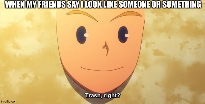 Trash, right? | WHEN MY FRIENDS SAY I LOOK LIKE SOMEONE OR SOMETHING | image tagged in trash right | made w/ Imgflip meme maker