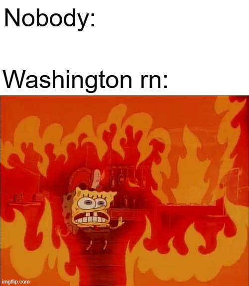 Burning Spongebob | Nobody:; Washington rn: | image tagged in burning spongebob | made w/ Imgflip meme maker