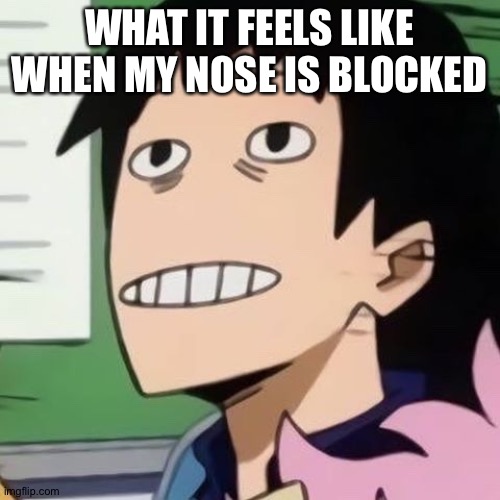 Noseless Sero | WHAT IT FEELS LIKE WHEN MY NOSE IS BLOCKED | image tagged in noseless sero | made w/ Imgflip meme maker