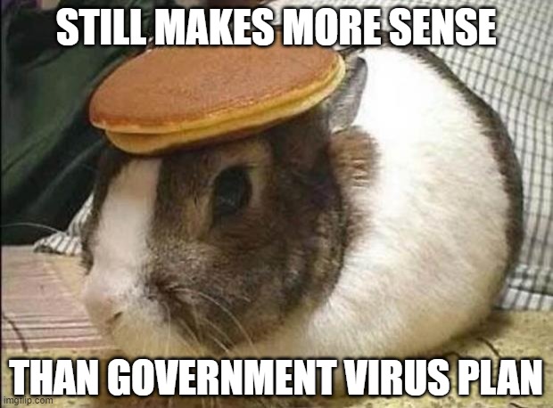 Stop the world, I want to get off. | STILL MAKES MORE SENSE; THAN GOVERNMENT VIRUS PLAN | image tagged in bunny pancake | made w/ Imgflip meme maker