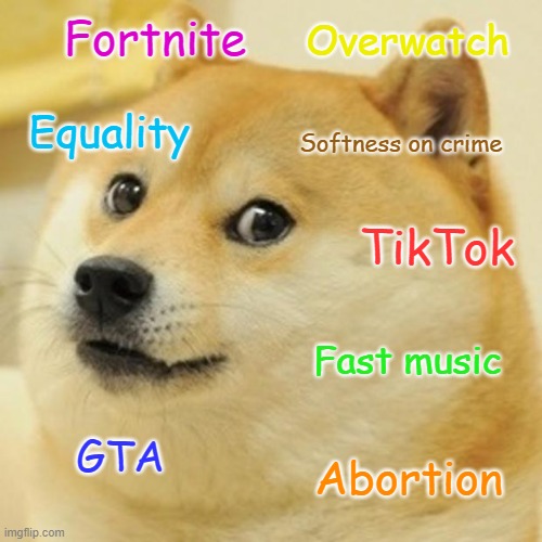 What boomers hate | Overwatch; Fortnite; Equality; Softness on crime; TikTok; Fast music; GTA; Abortion | image tagged in memes,doge,video games,ok boomer,political meme | made w/ Imgflip meme maker