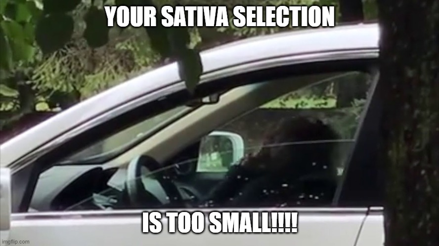 Your Sativa is too small! | YOUR SATIVA SELECTION; IS TOO SMALL!!!! | image tagged in funny | made w/ Imgflip meme maker