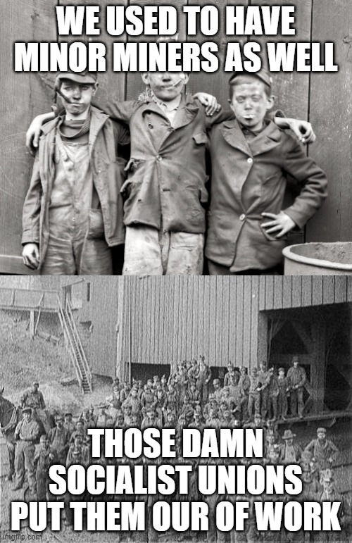 WE USED TO HAVE MINOR MINERS AS WELL THOSE DAMN SOCIALIST UNIONS PUT THEM OUR OF WORK | made w/ Imgflip meme maker