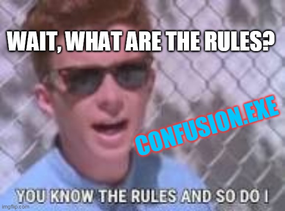 You know the rules and so do I | WAIT, WHAT ARE THE RULES? CONFUSION.EXE | image tagged in you know the rules and so do i | made w/ Imgflip meme maker
