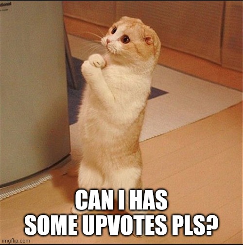 Can I Has Food | CAN I HAS SOME UPVOTES PLS? | image tagged in can i has food | made w/ Imgflip meme maker