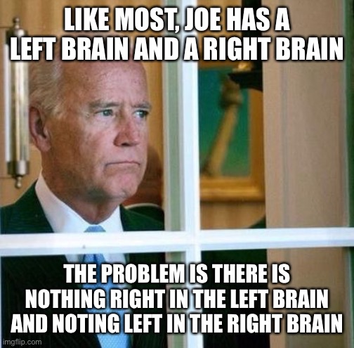 Sad Joe Biden | LIKE MOST, JOE HAS A LEFT BRAIN AND A RIGHT BRAIN; THE PROBLEM IS THERE IS NOTHING RIGHT IN THE LEFT BRAIN AND NOTING LEFT IN THE RIGHT BRAIN | image tagged in sad joe biden | made w/ Imgflip meme maker