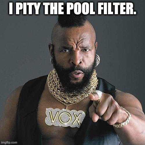 I pity the pool filter | I PITY THE POOL FILTER. | image tagged in memes,mr t pity the fool | made w/ Imgflip meme maker