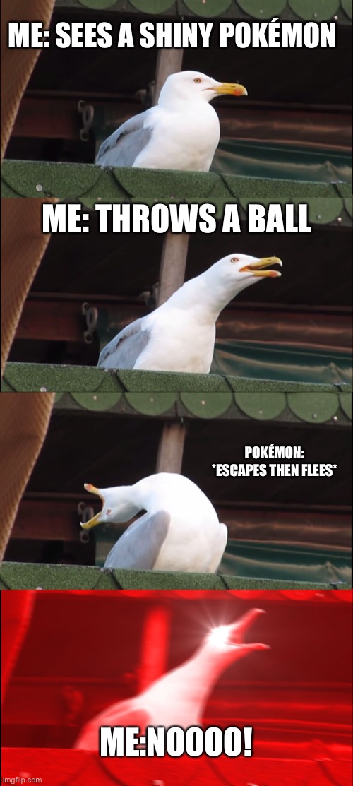 Shiny Pokémon sometimes | ME: SEES A SHINY POKÉMON; ME: THROWS A BALL; POKÉMON: *ESCAPES THEN FLEES*; ME:NOOOO! | image tagged in memes,inhaling seagull | made w/ Imgflip meme maker