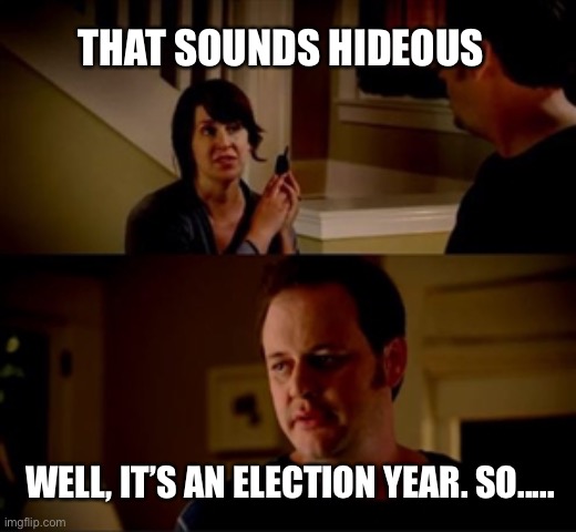 Jake from state farm | THAT SOUNDS HIDEOUS WELL, IT’S AN ELECTION YEAR. SO..... | image tagged in jake from state farm | made w/ Imgflip meme maker