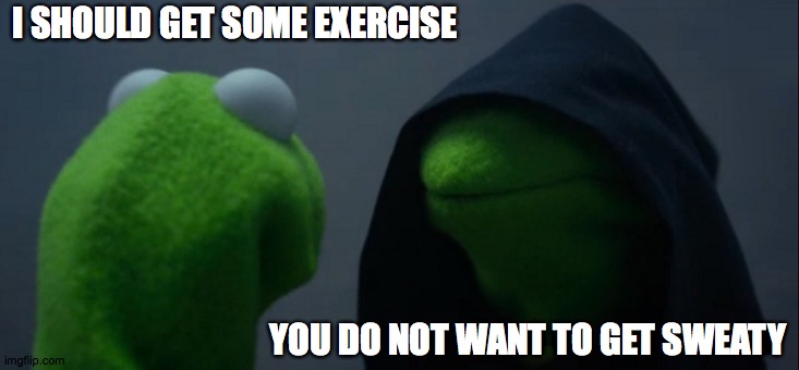 Evil Kermit |  I SHOULD GET SOME EXERCISE; YOU DO NOT WANT TO GET SWEATY | image tagged in memes,evil kermit,exercise,sweaty | made w/ Imgflip meme maker